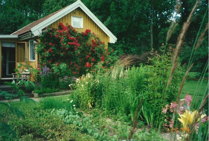 Säljarens egna bild