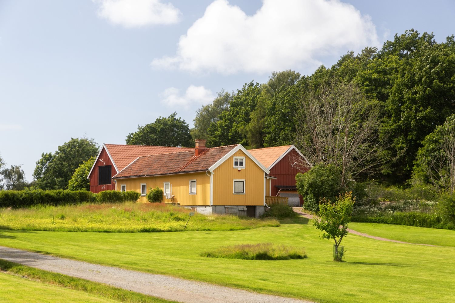 Föreningens gemensamma lokaler med olika aktiviteter