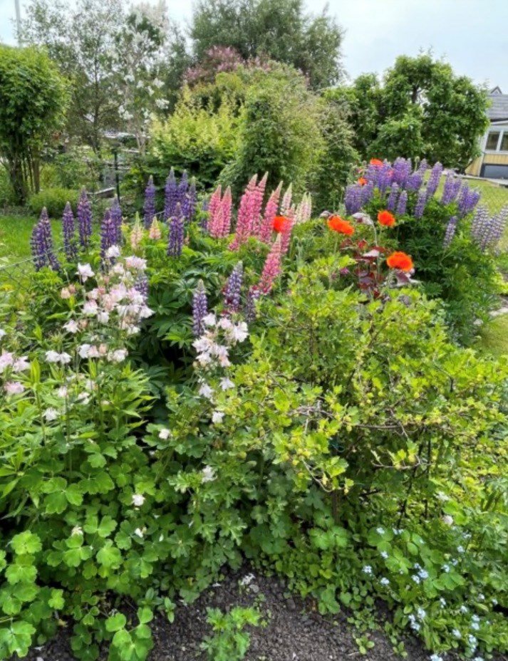 Säljarens egna bild