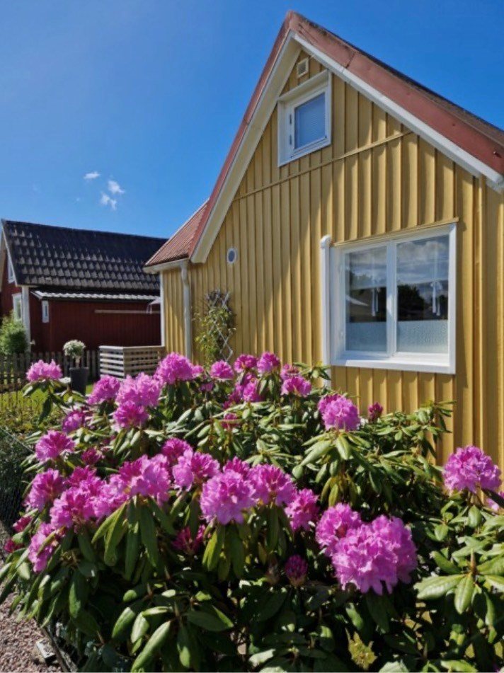 Bild Gulsporregången 230