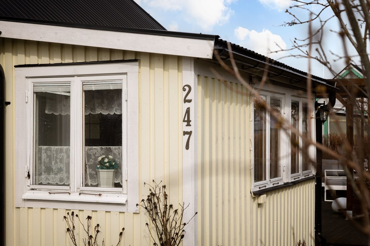 Bild Gulsporregången 247