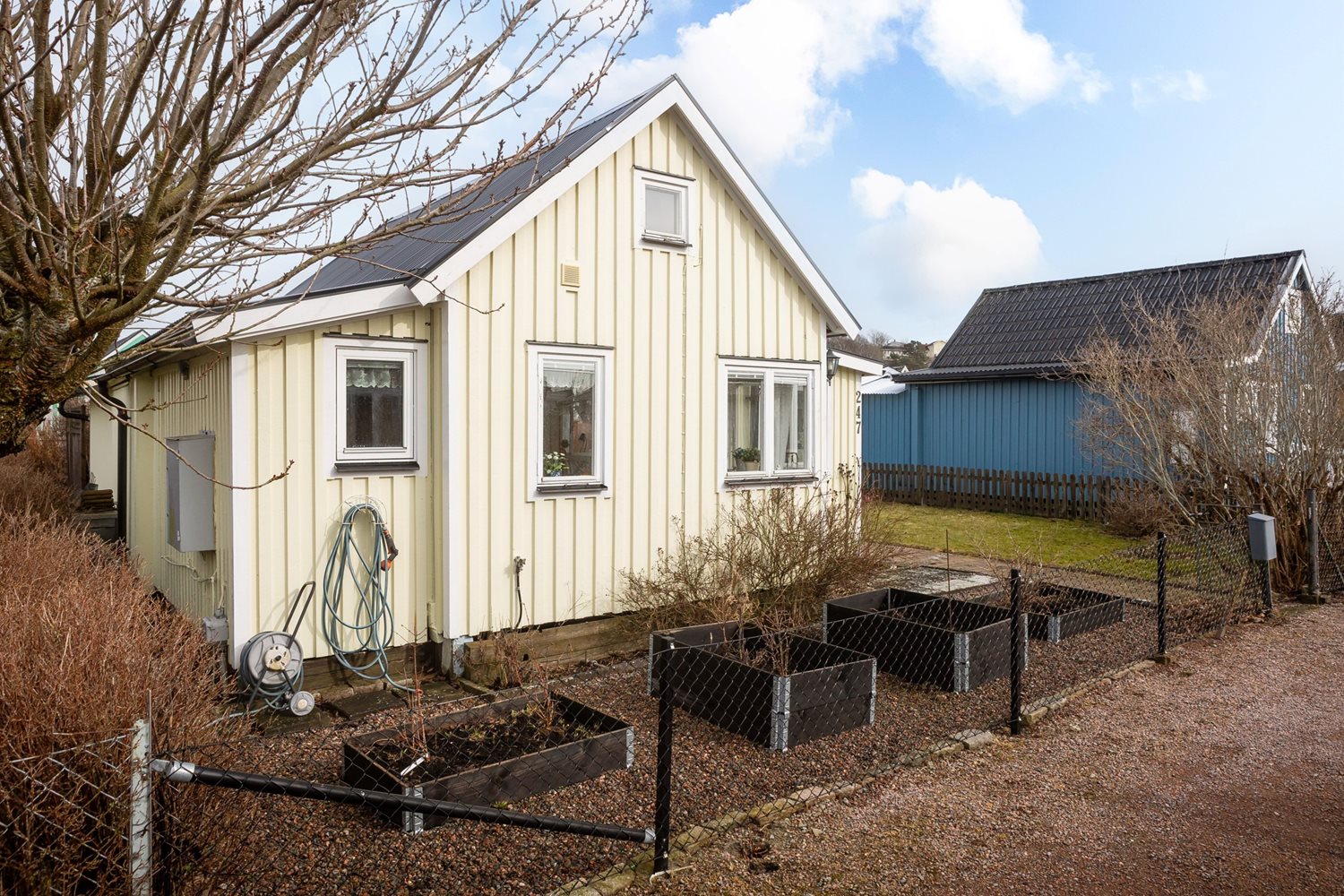 Bild Gulsporregången 247