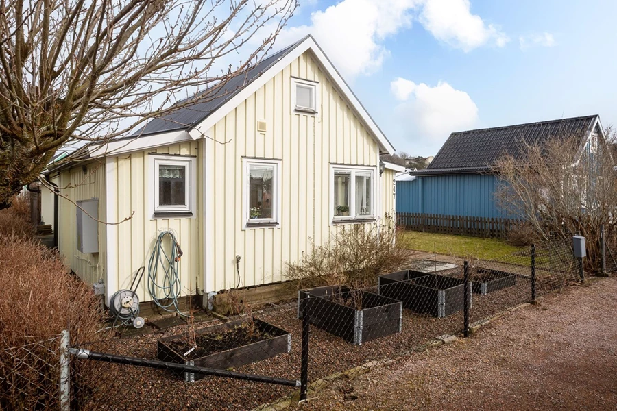 Bild Gulsporregången 247