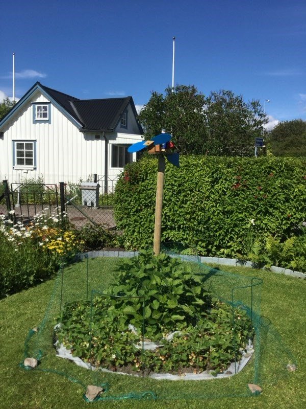 Bild Tusenskönegången 284