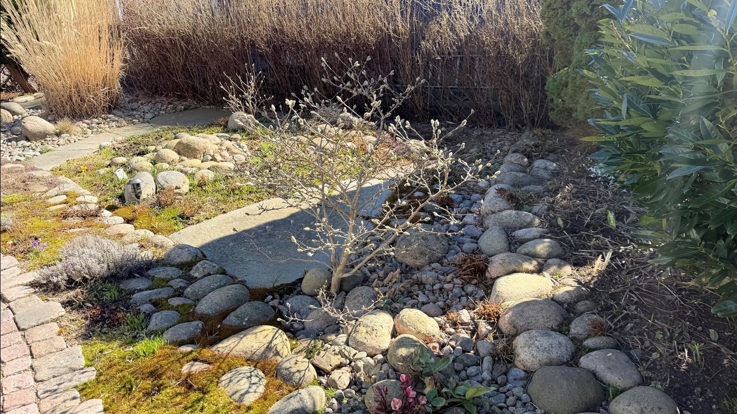 Bild Gulärlegången 140