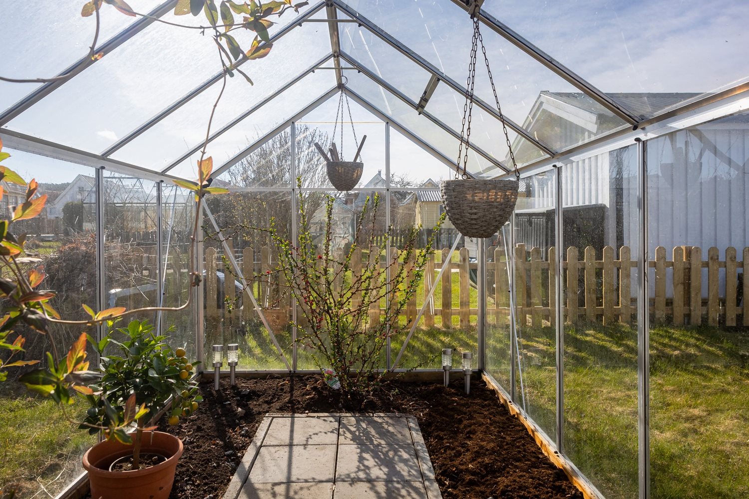 Bild Backsippegången 225