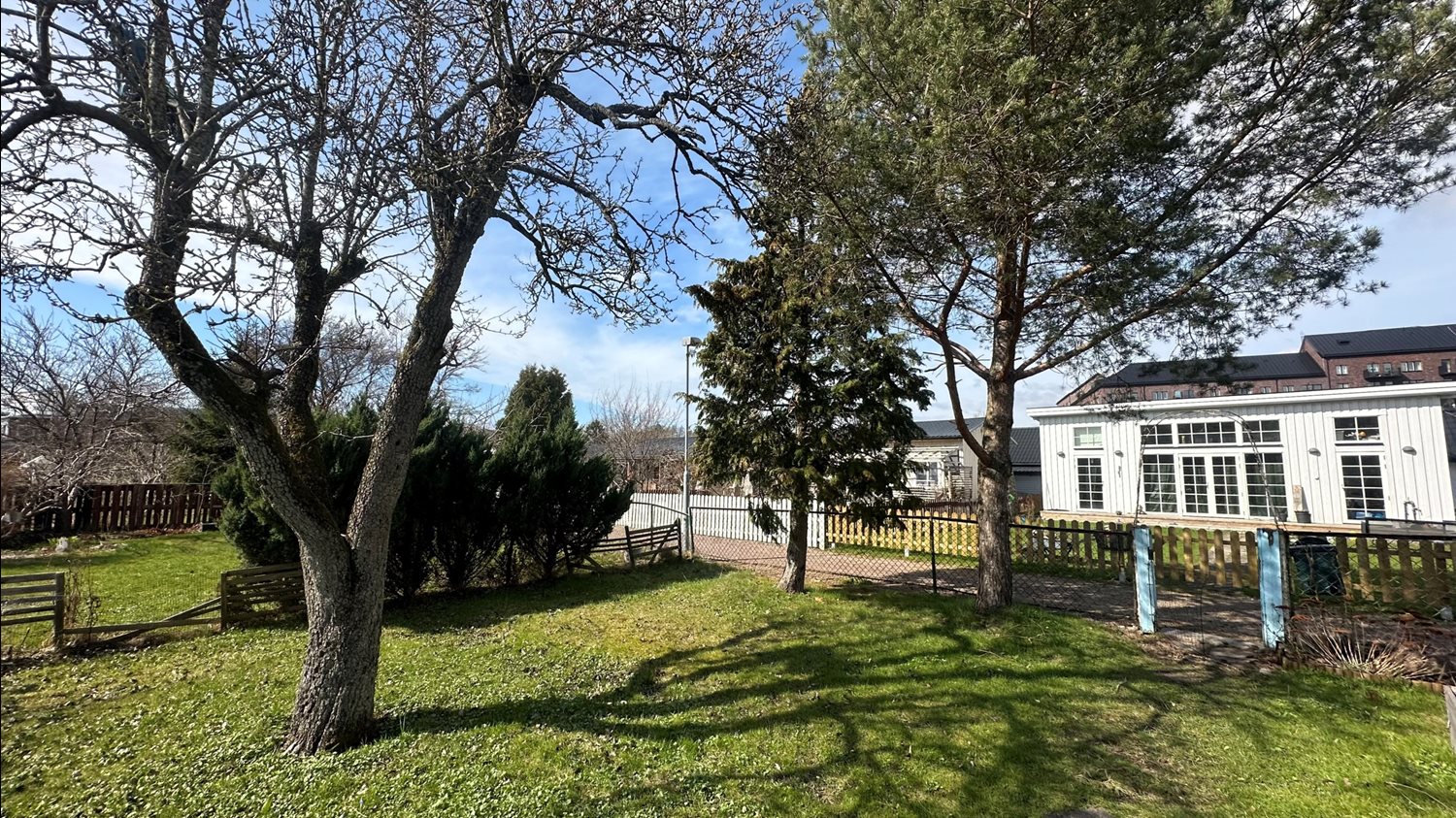 Vy från stutan mot trädgård och staket. Päronträd till vänster