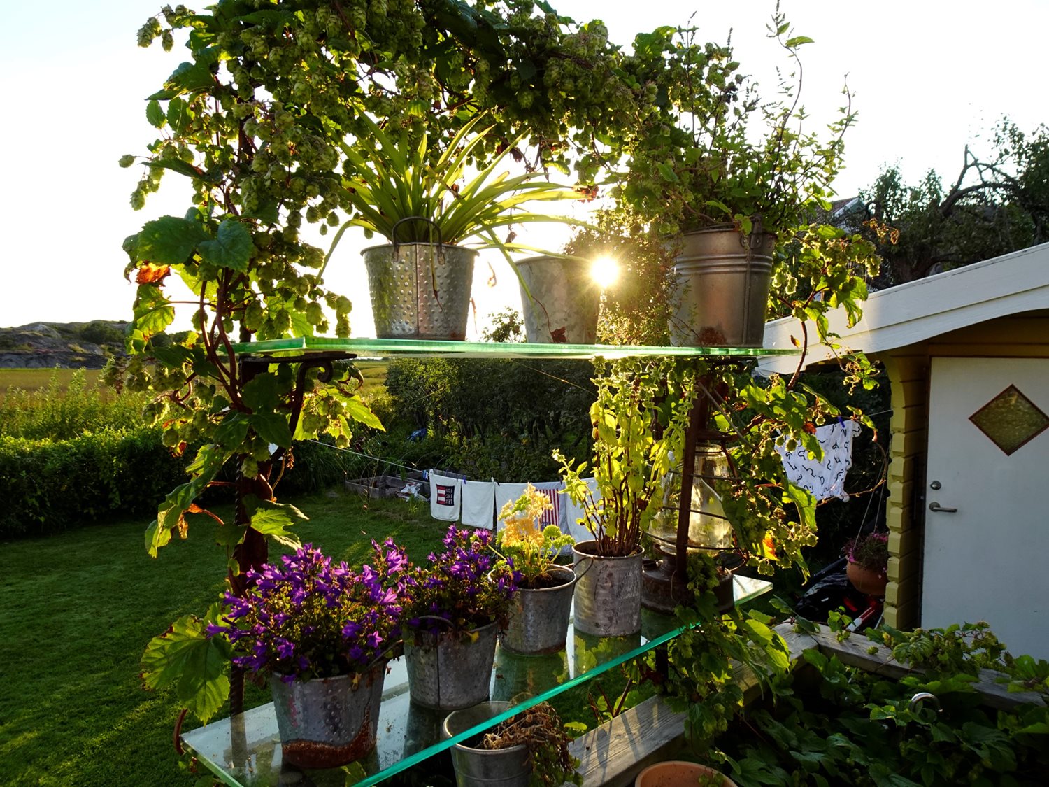 Säljarens egna bild, Vy från altan