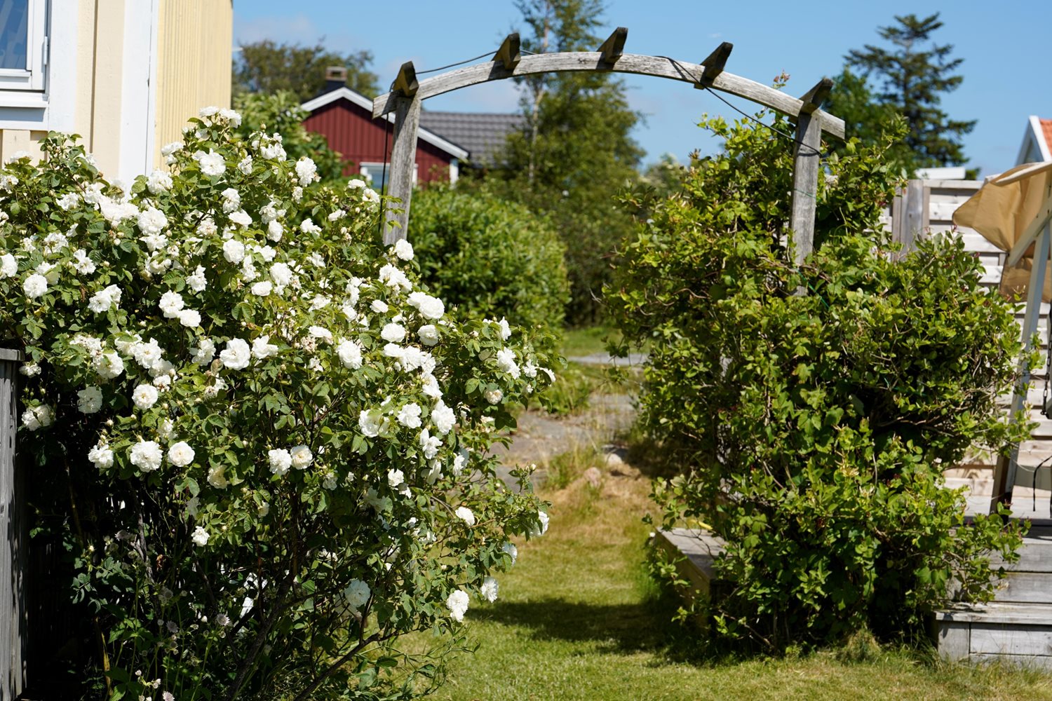 Säljarens egna bild, Vy från trädgården