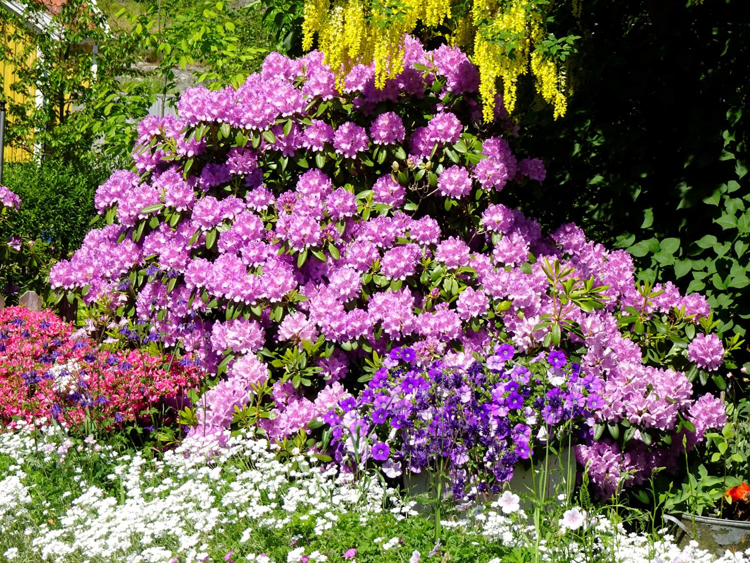 Säljarens egna bild