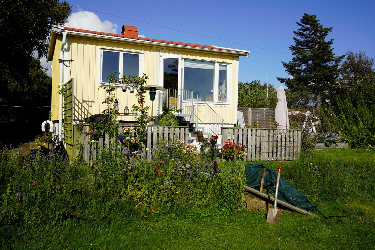 Säljarens egna bild