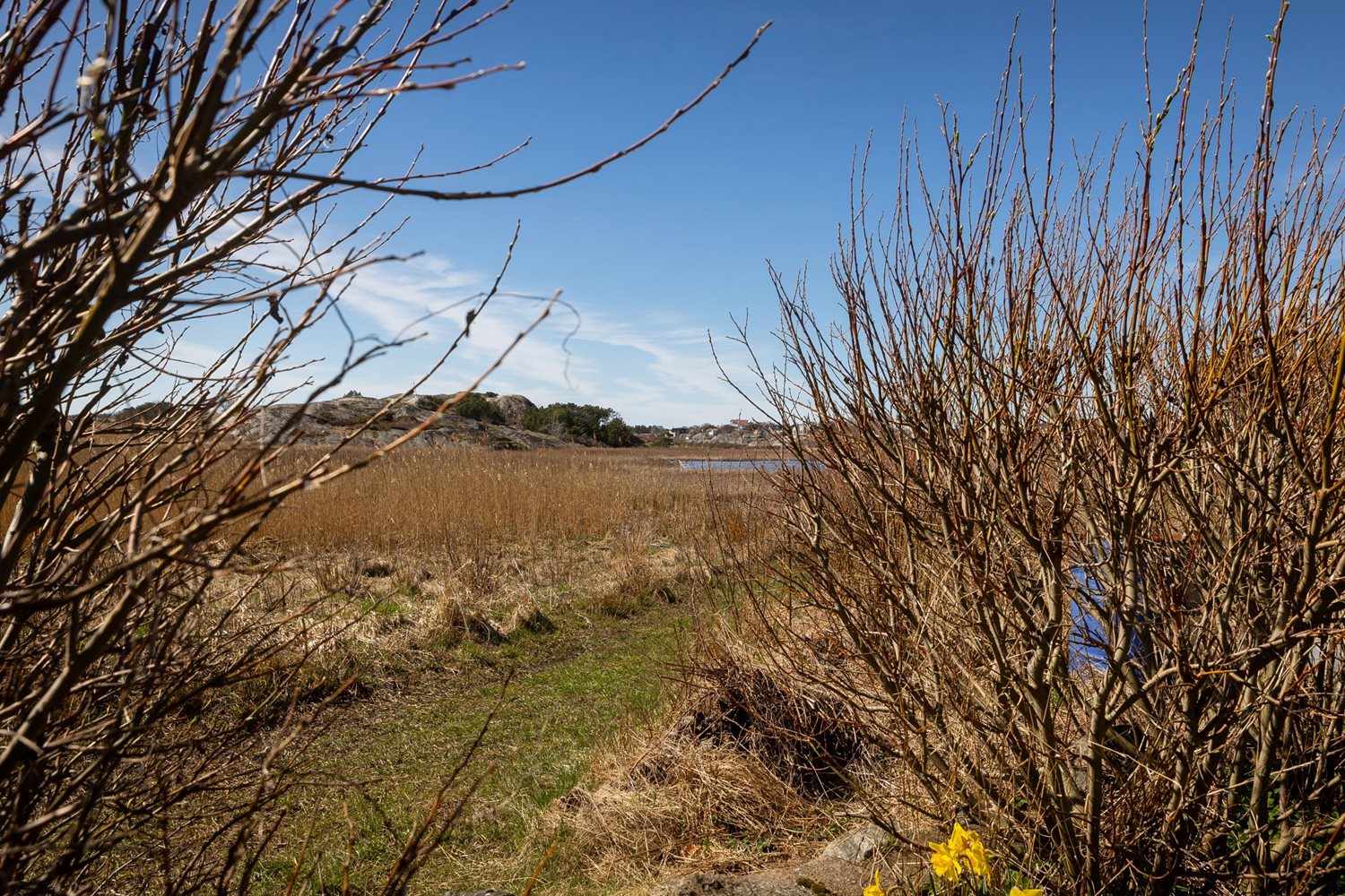 Stig nedanför stugan som leder till havet och promenad