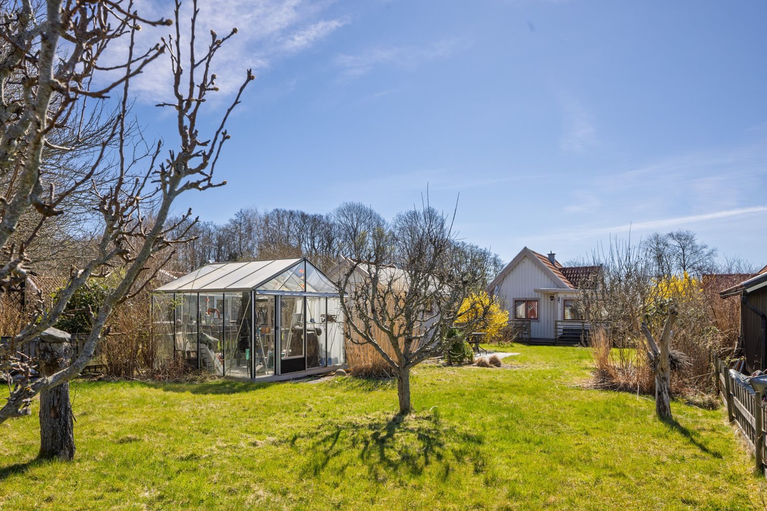 Växthus och friggebod