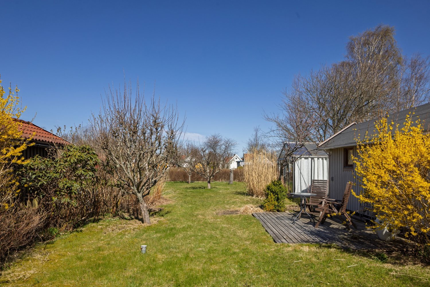 Vy över trädgård från stugans uteplats