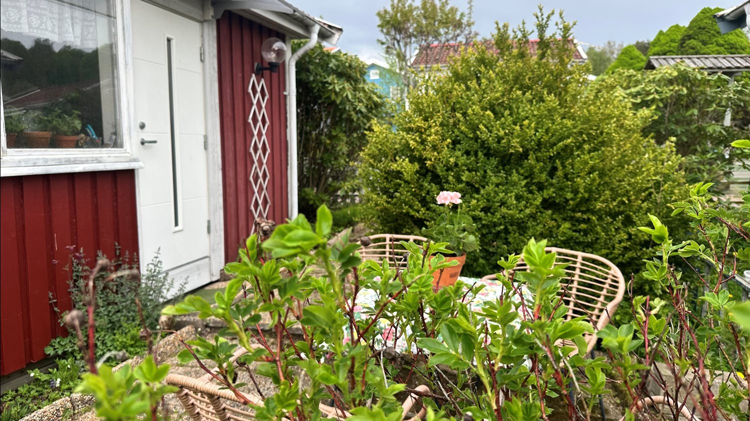 Bild Sörbackens Koloniområde nr 44