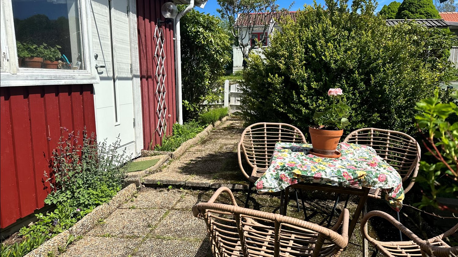 Vy mot stugans entre