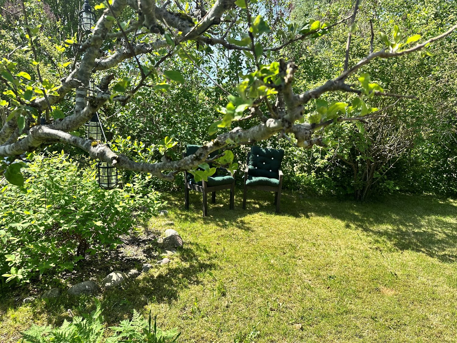 Berså