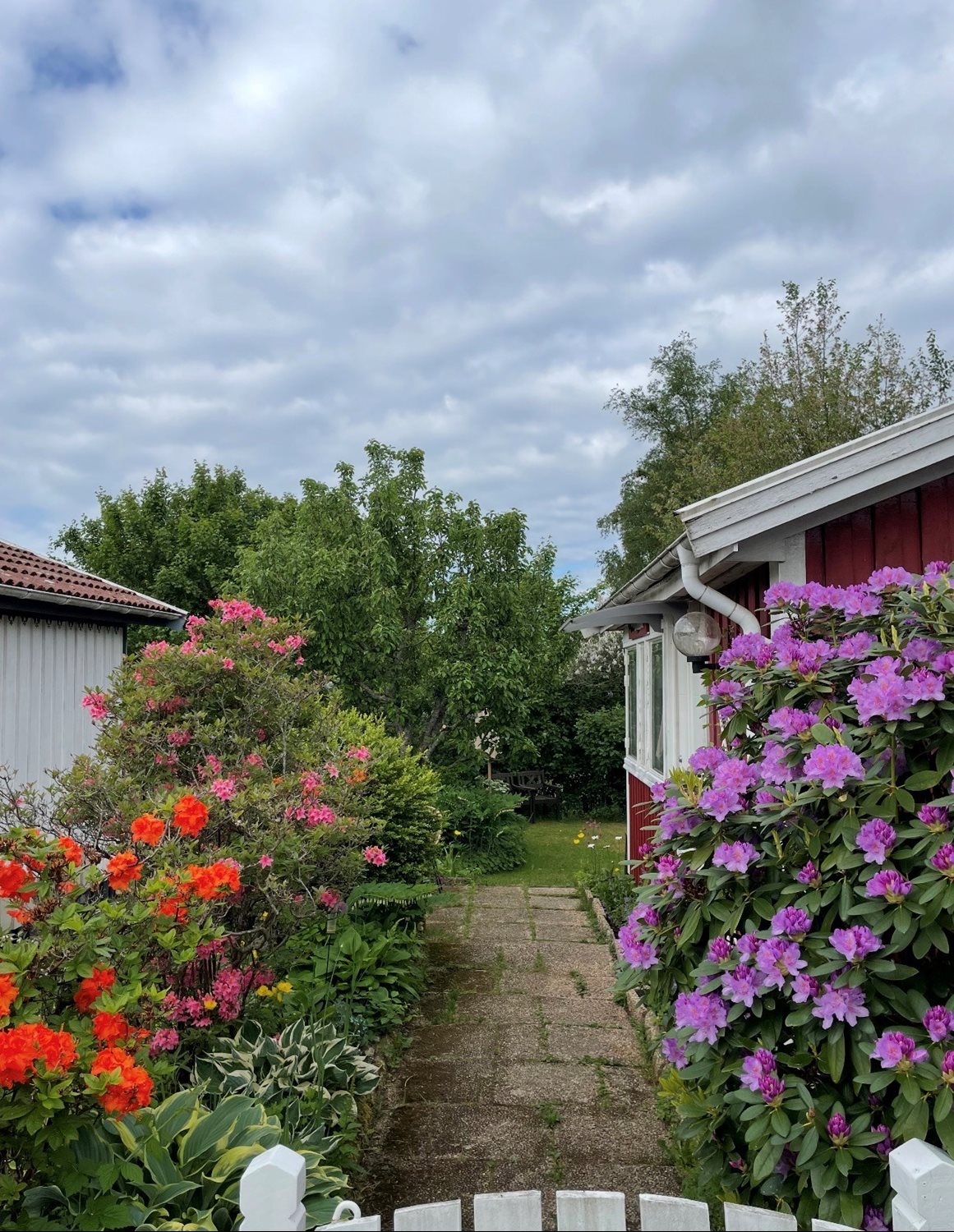 Säljarens egna bild