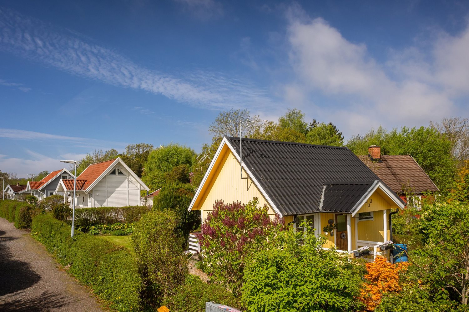 Bild Sommarlyckan 28