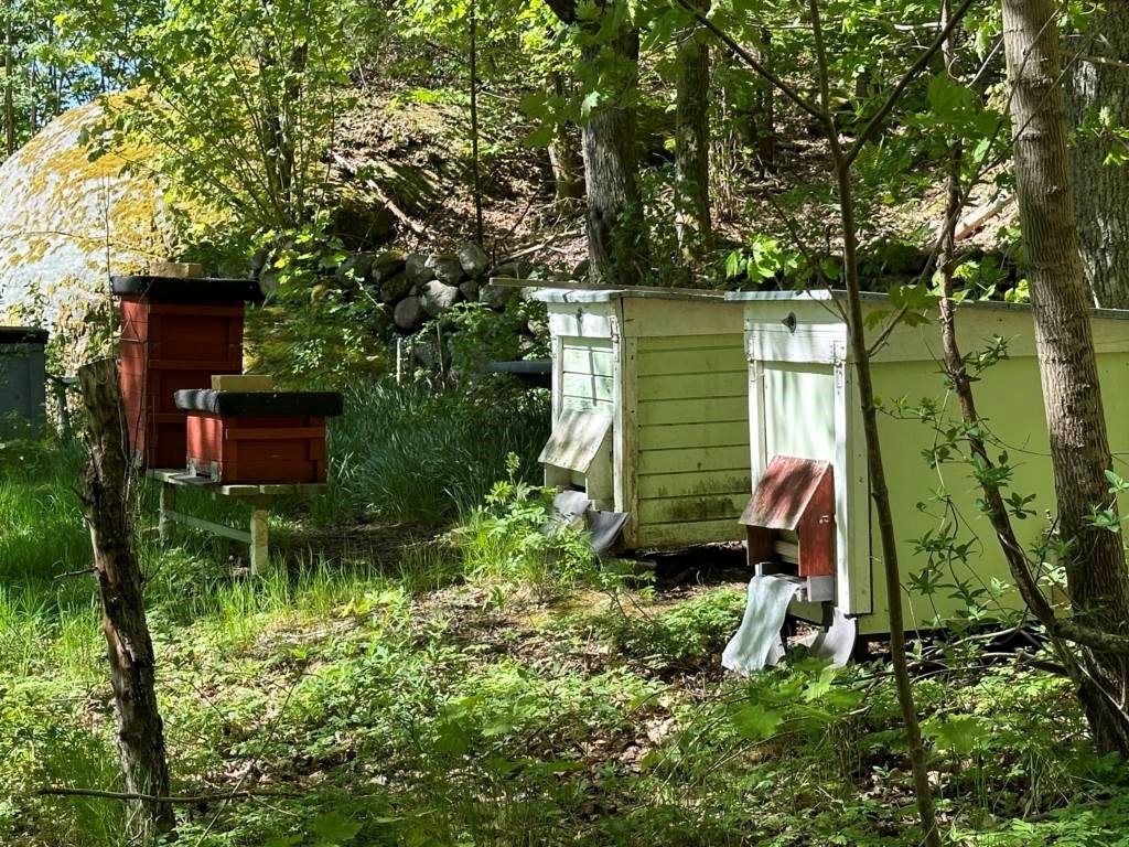 Bild Kvintettgången 106   Säve