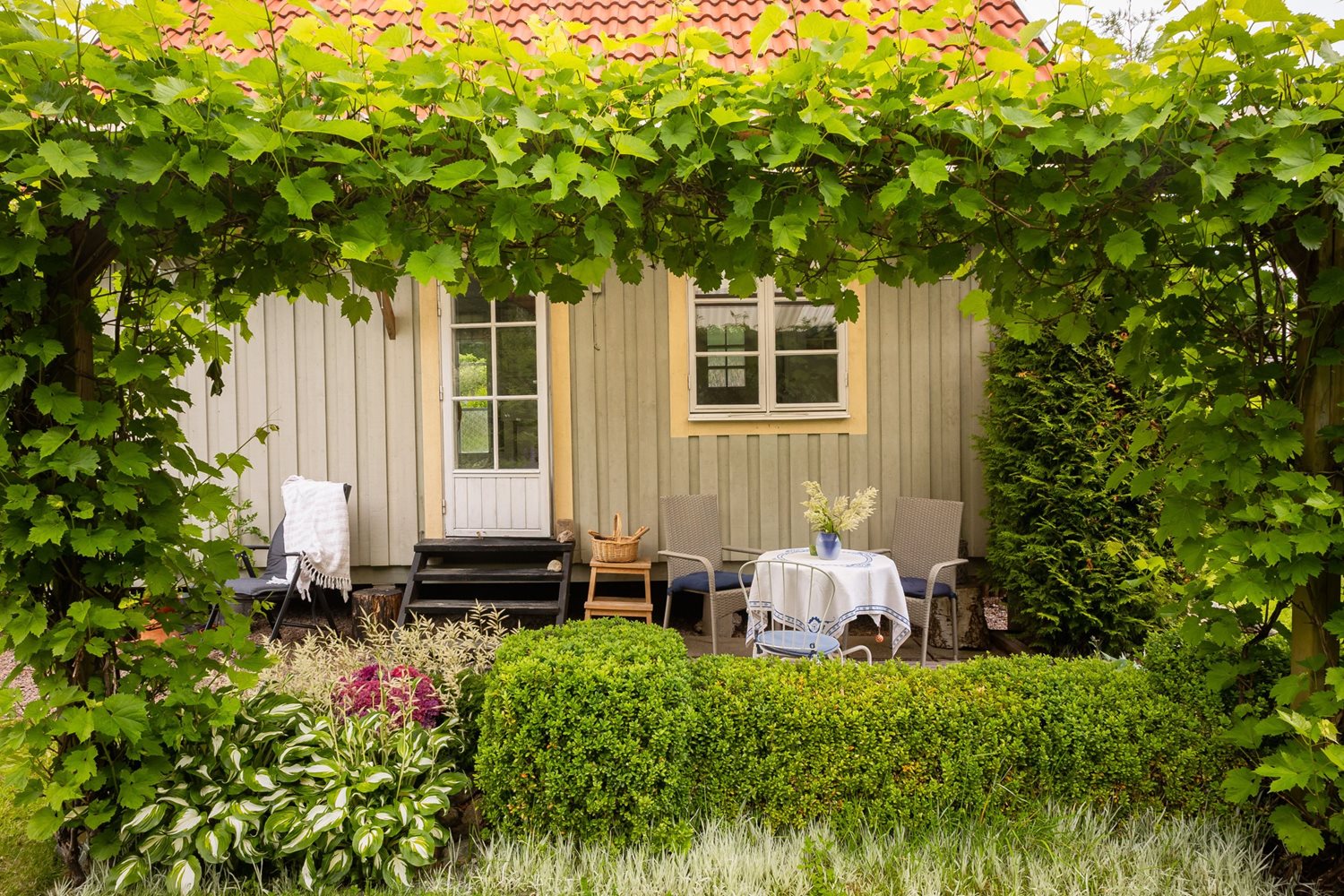 Vy mot pergola