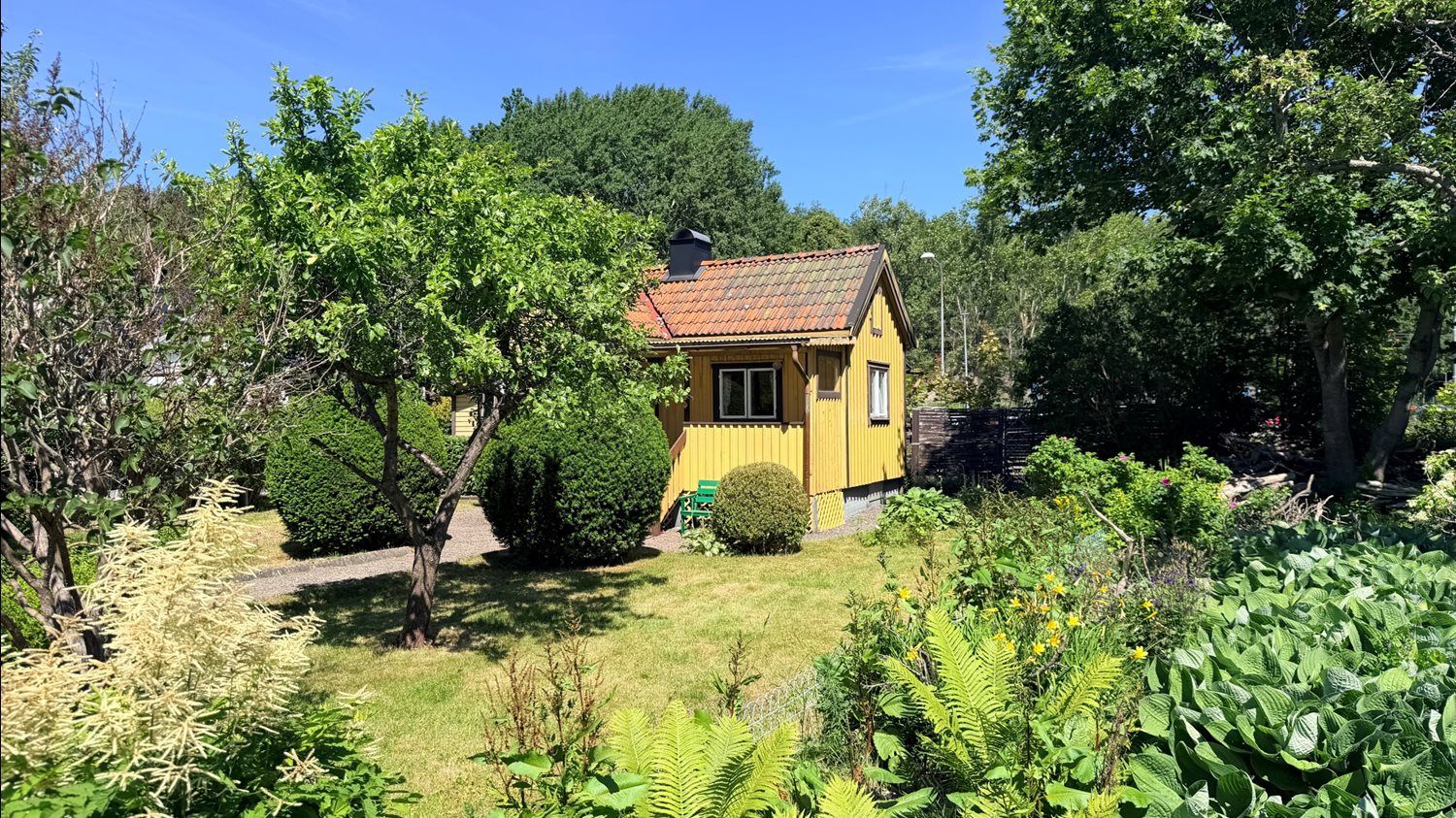 Bild Azaleagången 10