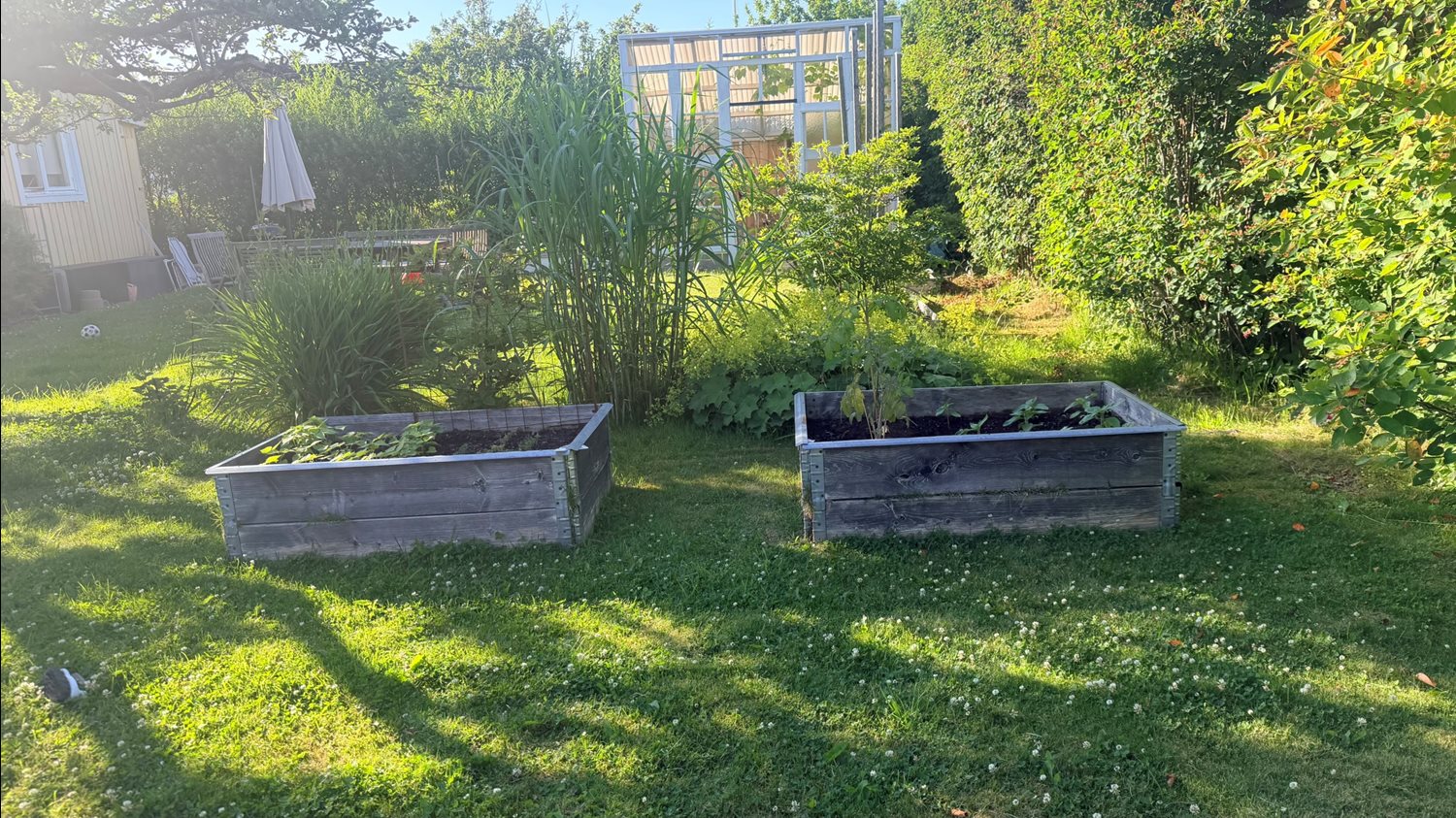 Bild Gulärlegången 166