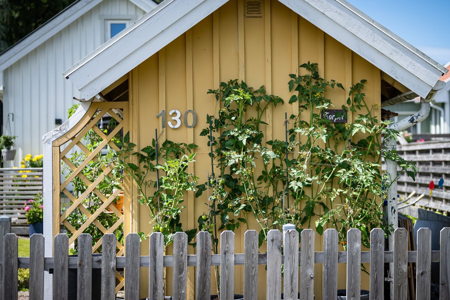 Bild Sånggången 130
