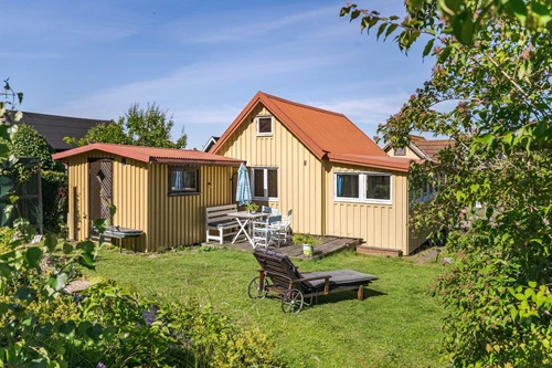 Flugsnapparegången  40