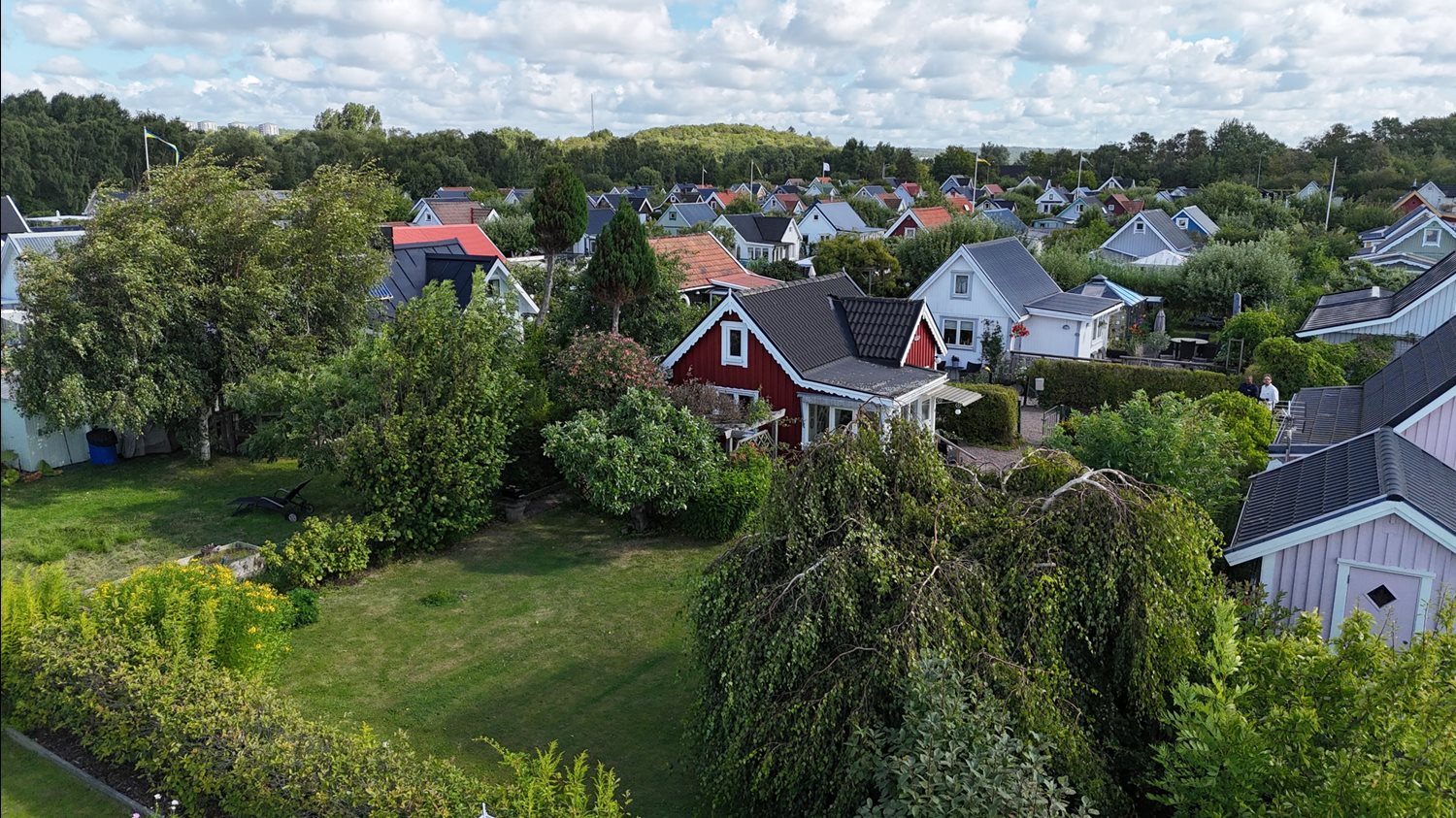 Översikt över trädgården