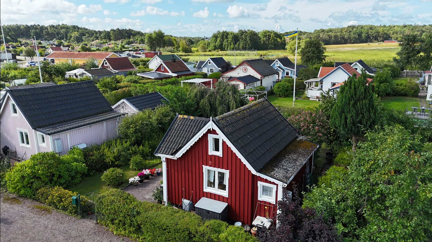 Bild Backsippegången 211