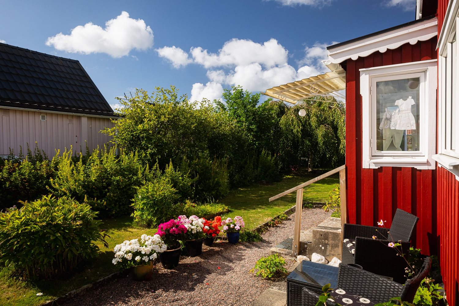 Bild Backsippegången 211