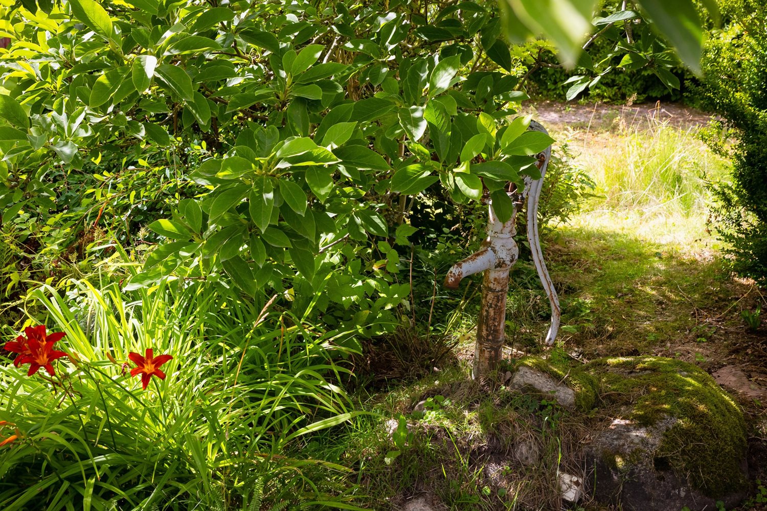 Bild Tullare hög 3
