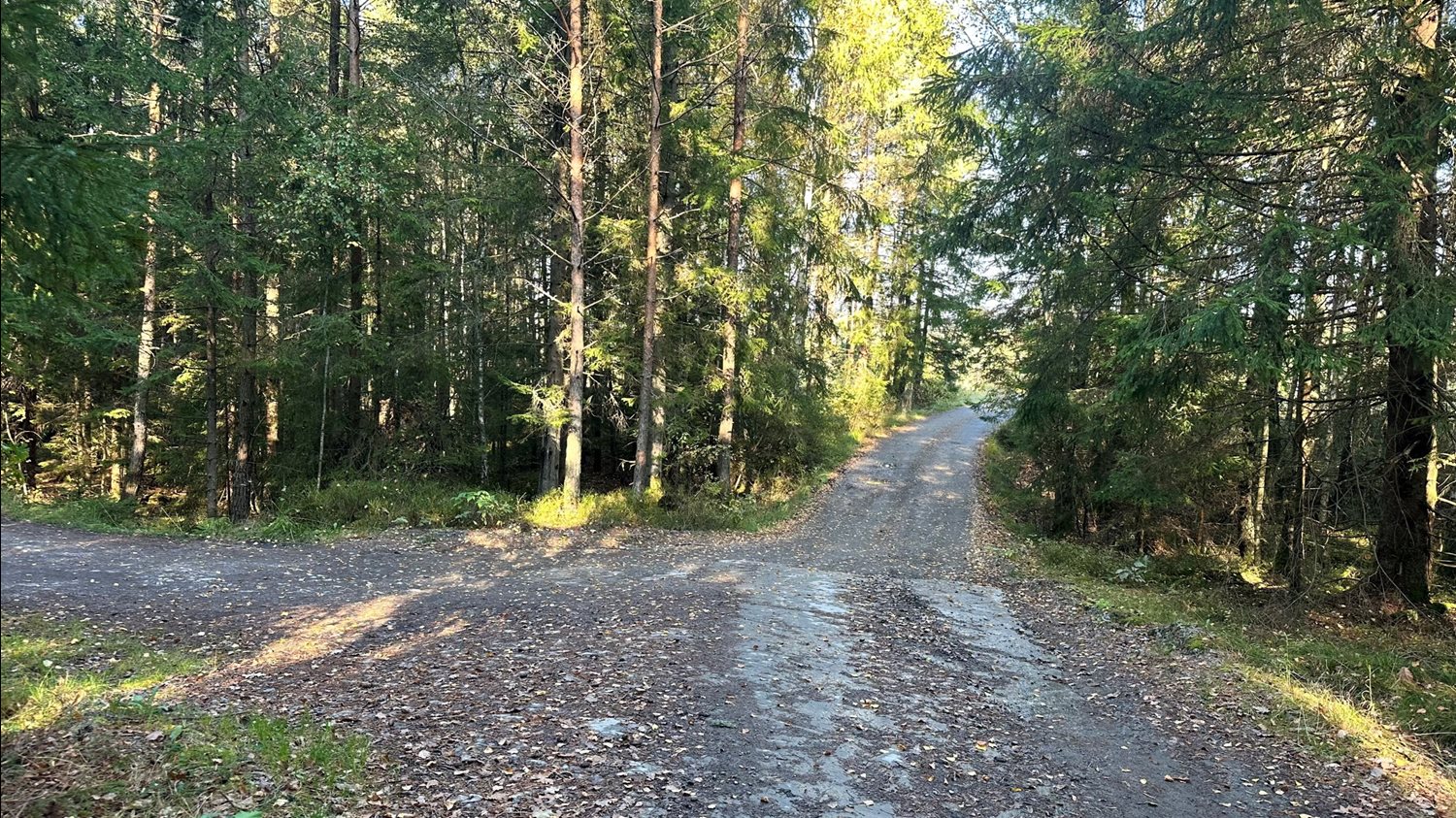Vy från fastigheten mot väg ut från området