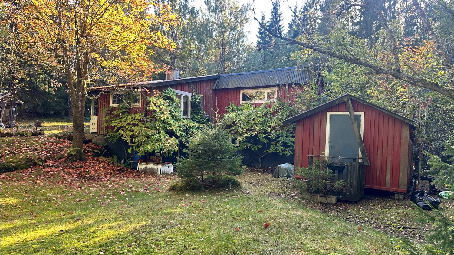 Bild Skallsjö skattegårdsväg 46