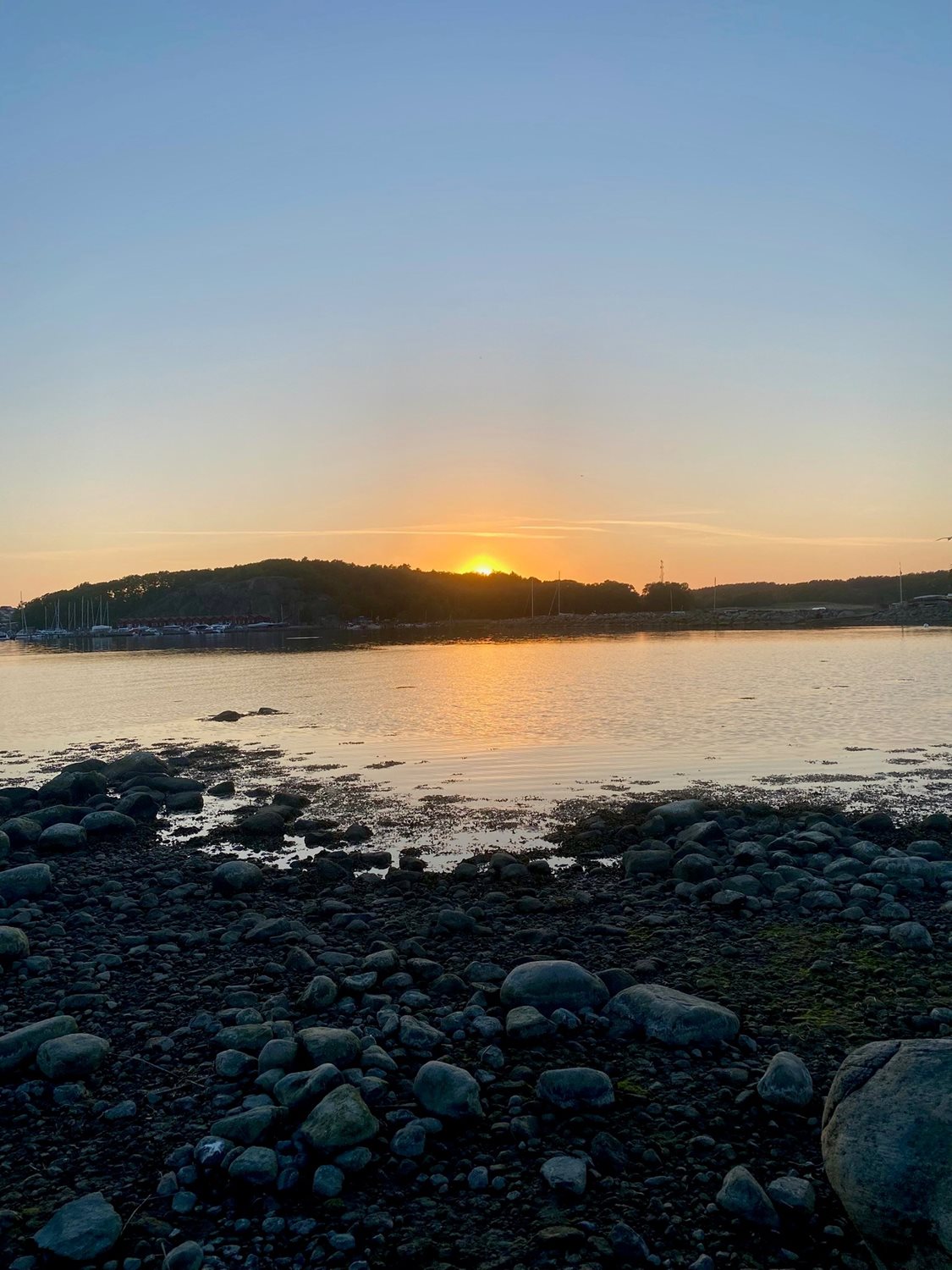 Bild Röllikegången 310